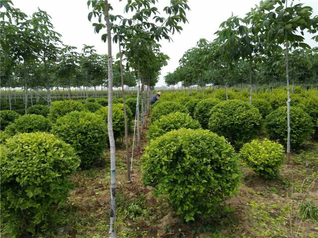 k8凯发(中国)天生赢家·一触即发