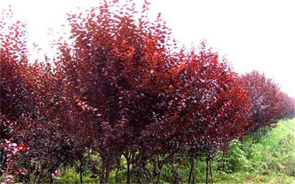 k8凯发(中国)天生赢家·一触即发