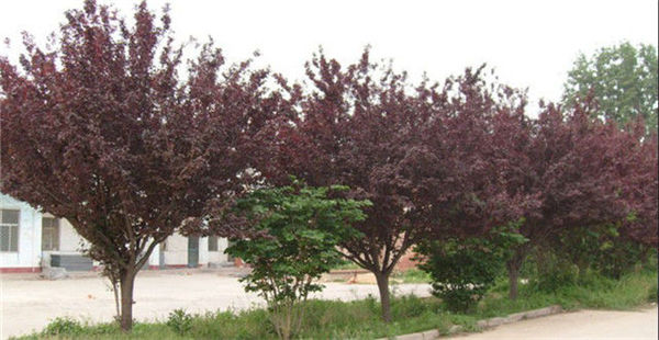 k8凯发(中国)天生赢家·一触即发