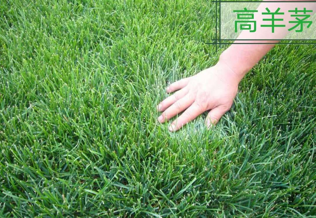 k8凯发(中国)天生赢家·一触即发