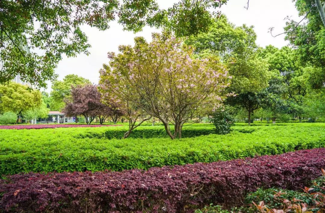 k8凯发(中国)天生赢家·一触即发