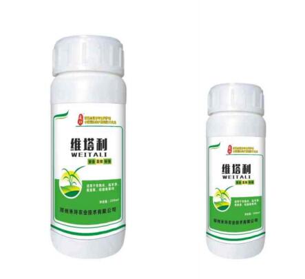 k8凯发(中国)天生赢家·一触即发